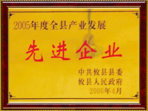 2005  先进企业